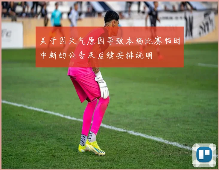 关于因天气原因导致本场比赛临时中断的公告及后续安排说明