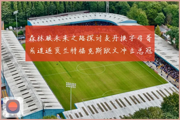 森林狼未来之路探讨麦丹换字母哥或追逐莫兰特福克斯欧文冲击总冠军